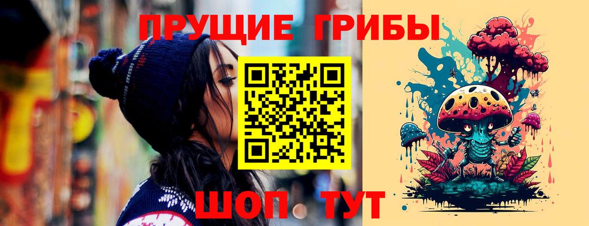 Псилоцибиновые грибы ЛСД Северобайкальск