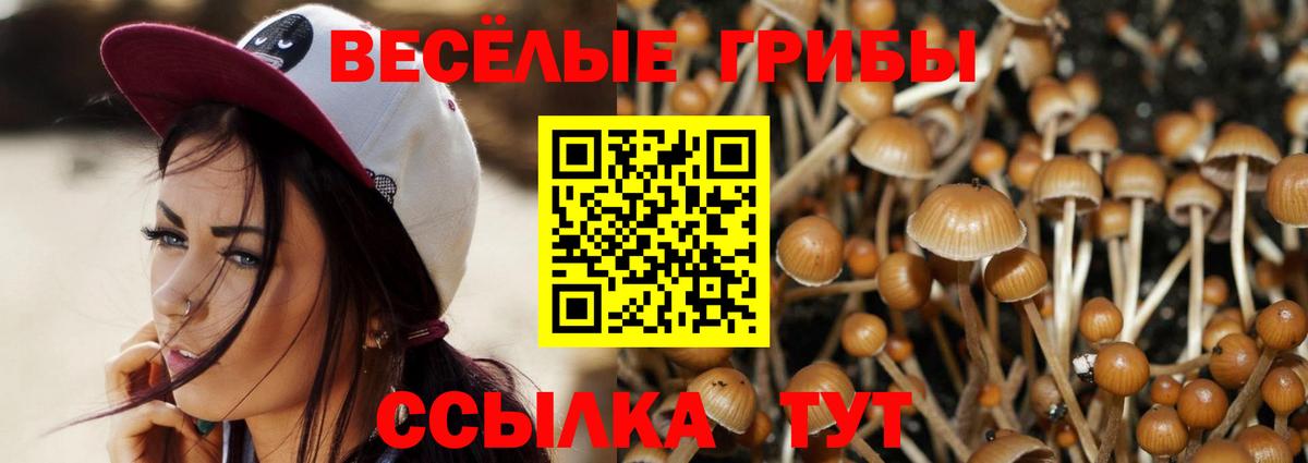 Галлюциногенные грибы Psilocybe  Галлюциногенные грибы GOLDEN TEACHER  магазин  наркотиков  Вход с VPN  Северобайкальск 